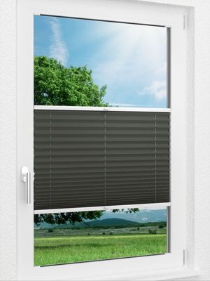 Preview LYSEL HOME Plissee 202B Aralia BO 0