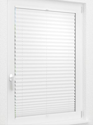 Preview LYSEL HOME Plissee 205B Aralia 2