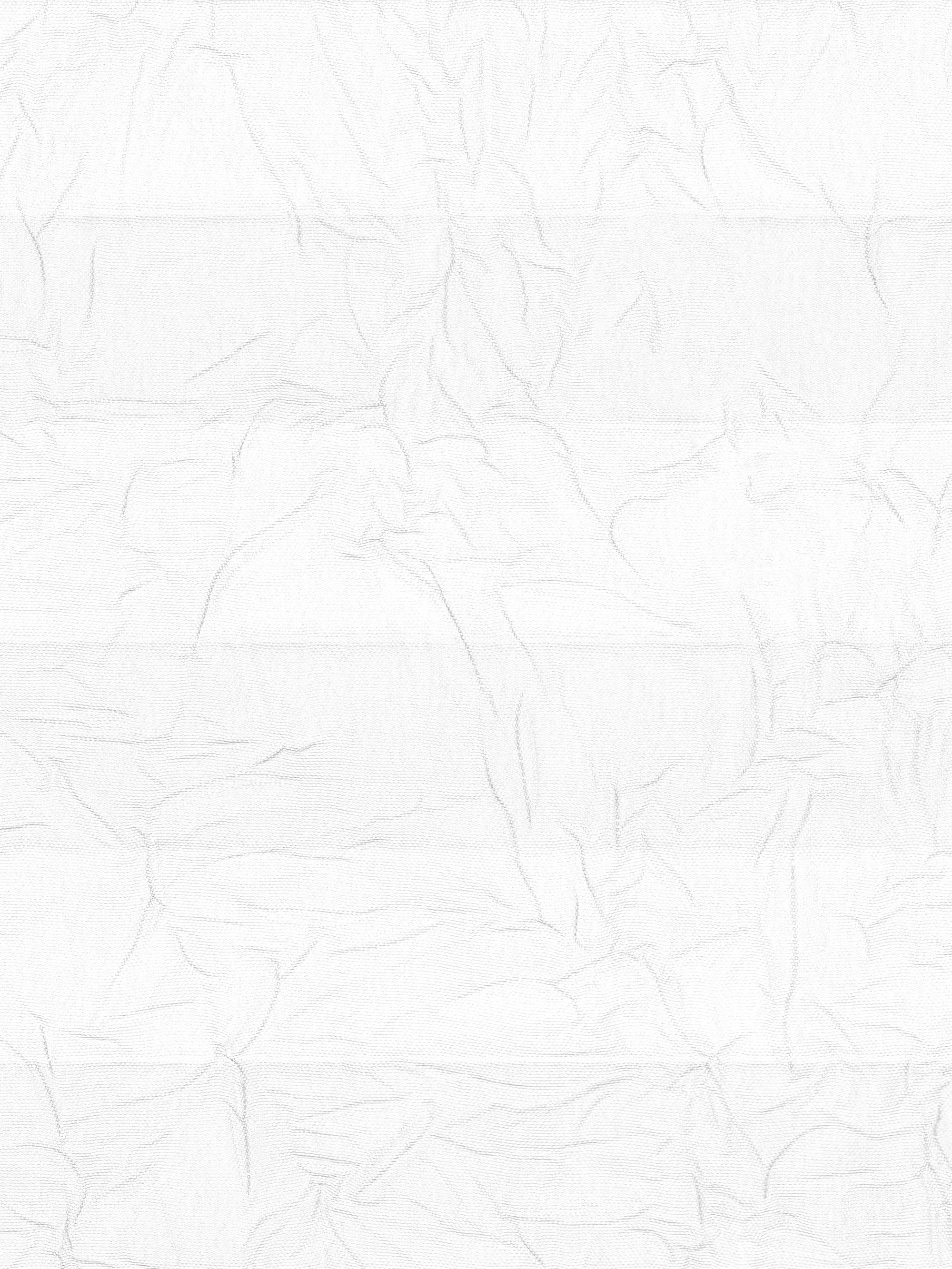 Detailansicht LYSEL HOME Plissee 104A Erinus