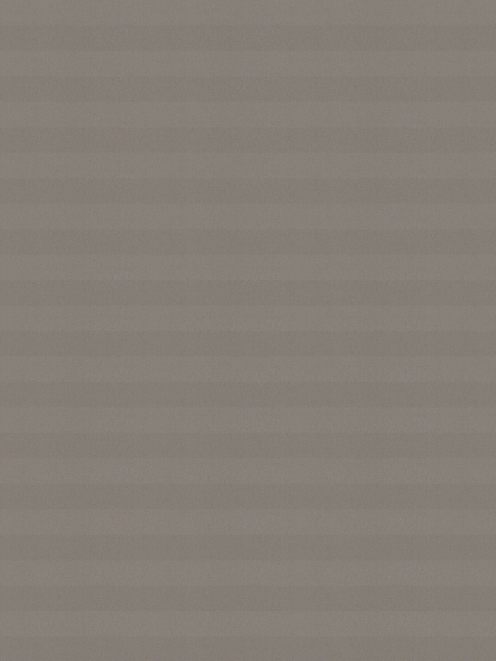 Detailansicht LYSEL HOME Plissee 221A Pinus BO