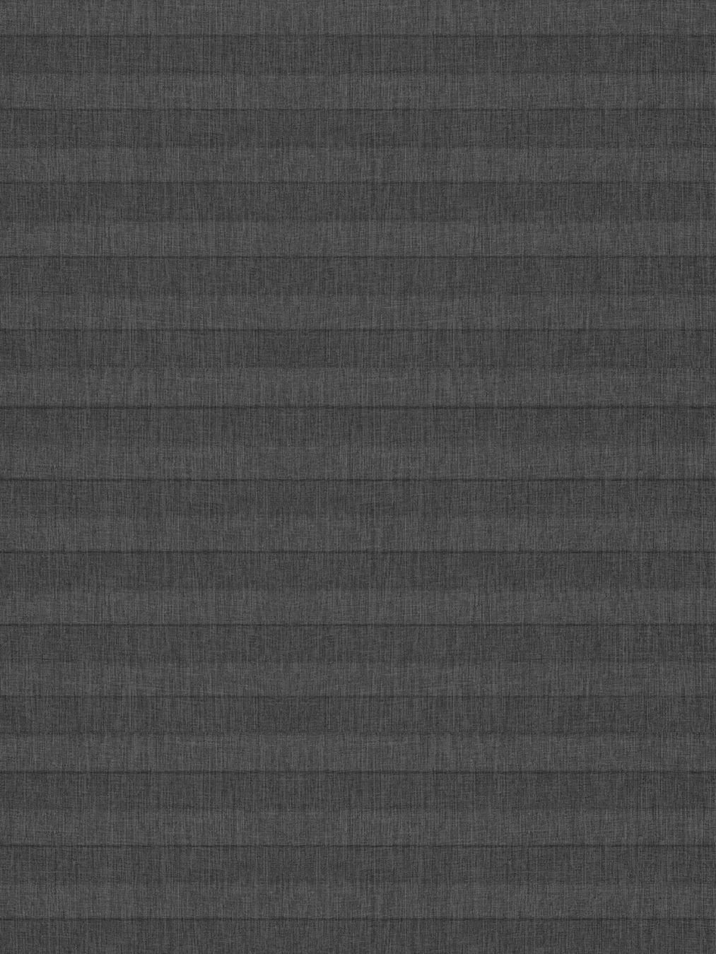 Detailansicht LYSEL HOME Plissee 117A Betula BO