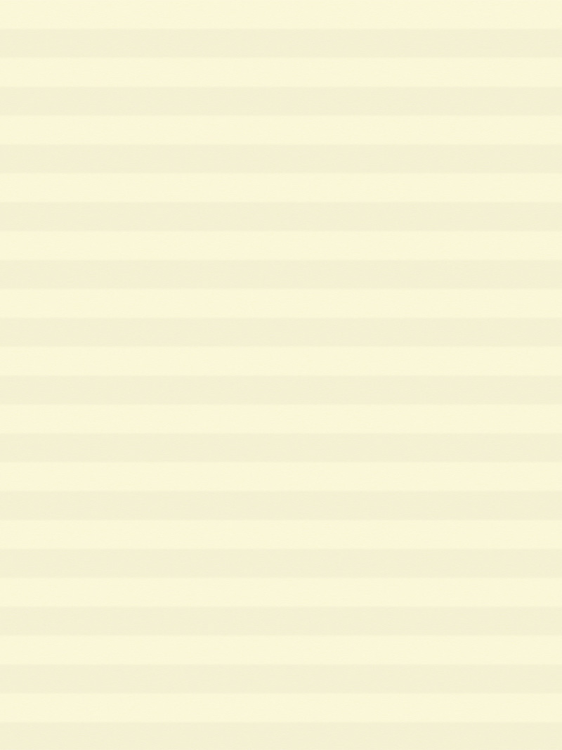 Preview LYSEL HOME Plissee 016A Nana BO Wabe 3