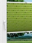 Plissee Sheep green Night 4406.1714 Fensteransicht
