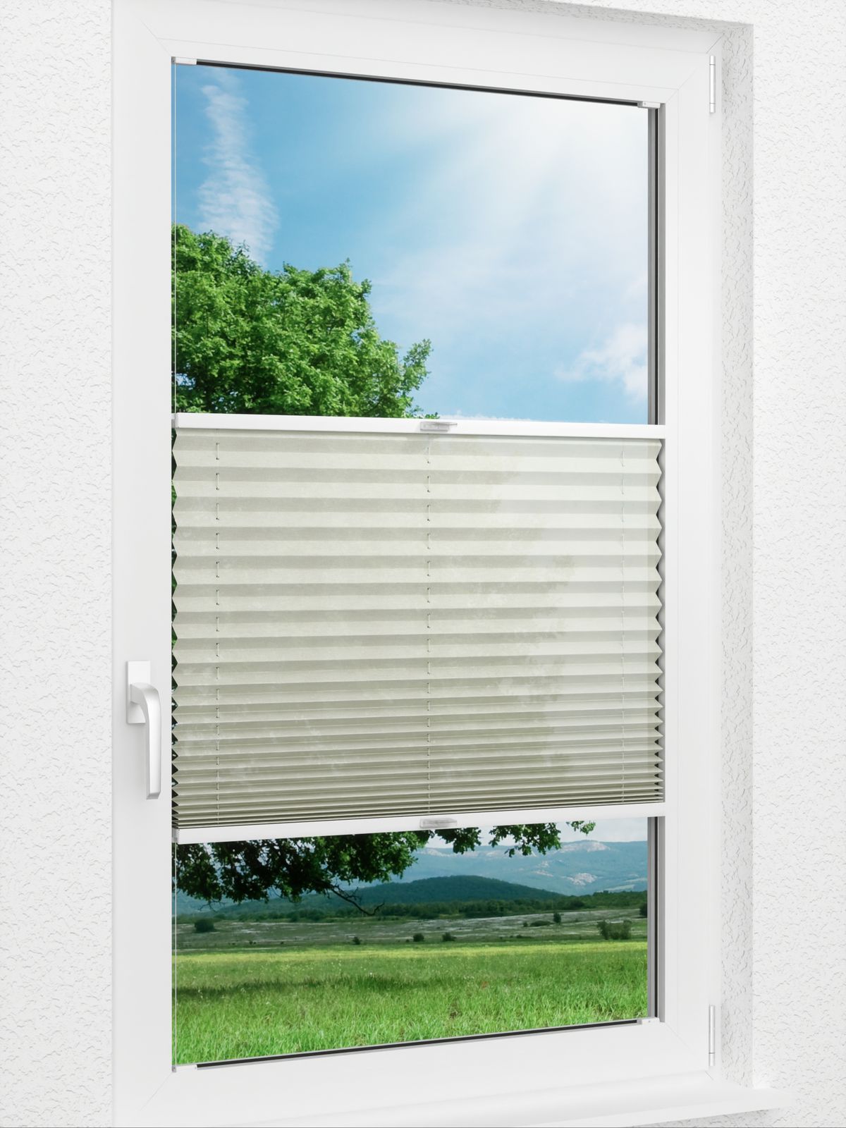 Detailansicht Plissee All Over 6102.2001