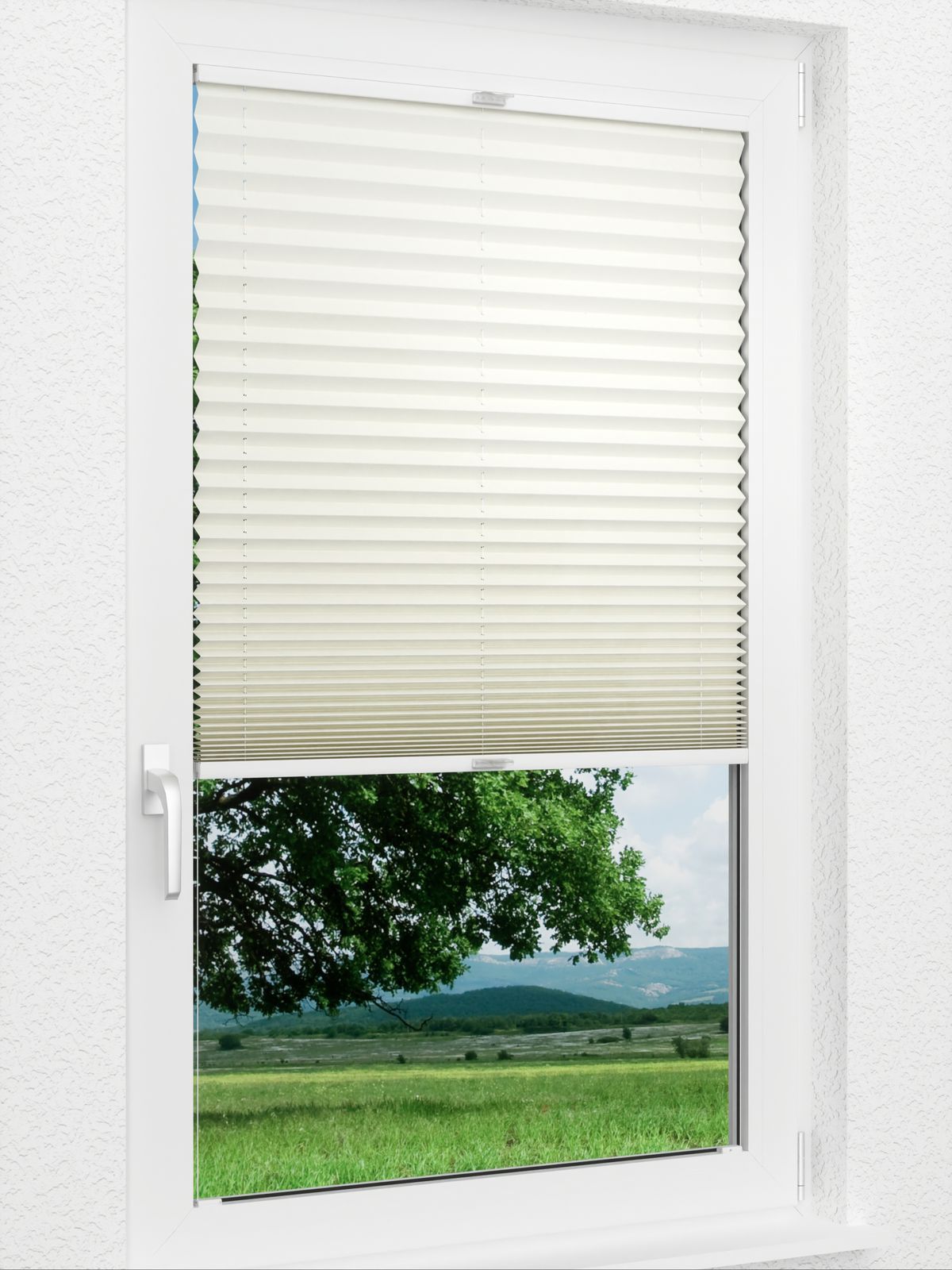 Detailansicht Plissee Cotton 3801.0118