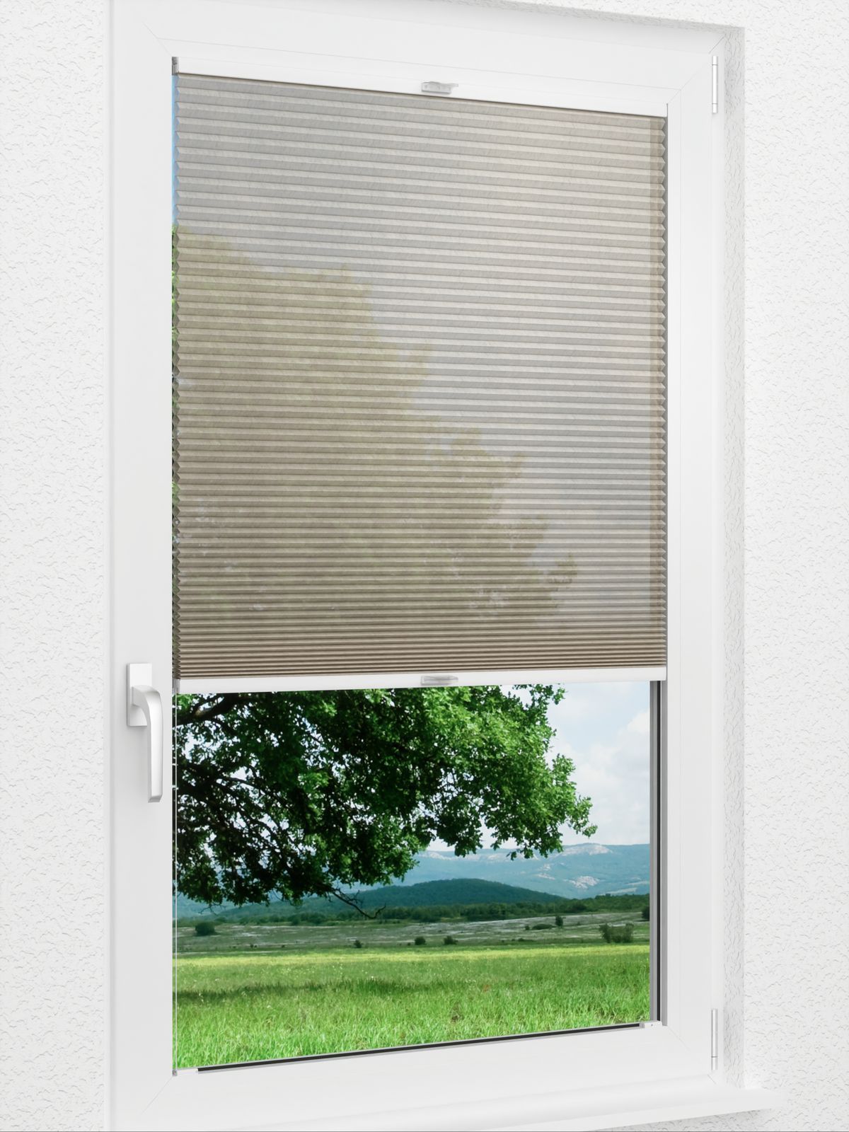 Detailansicht Jolty Comb SCL 6202.3639