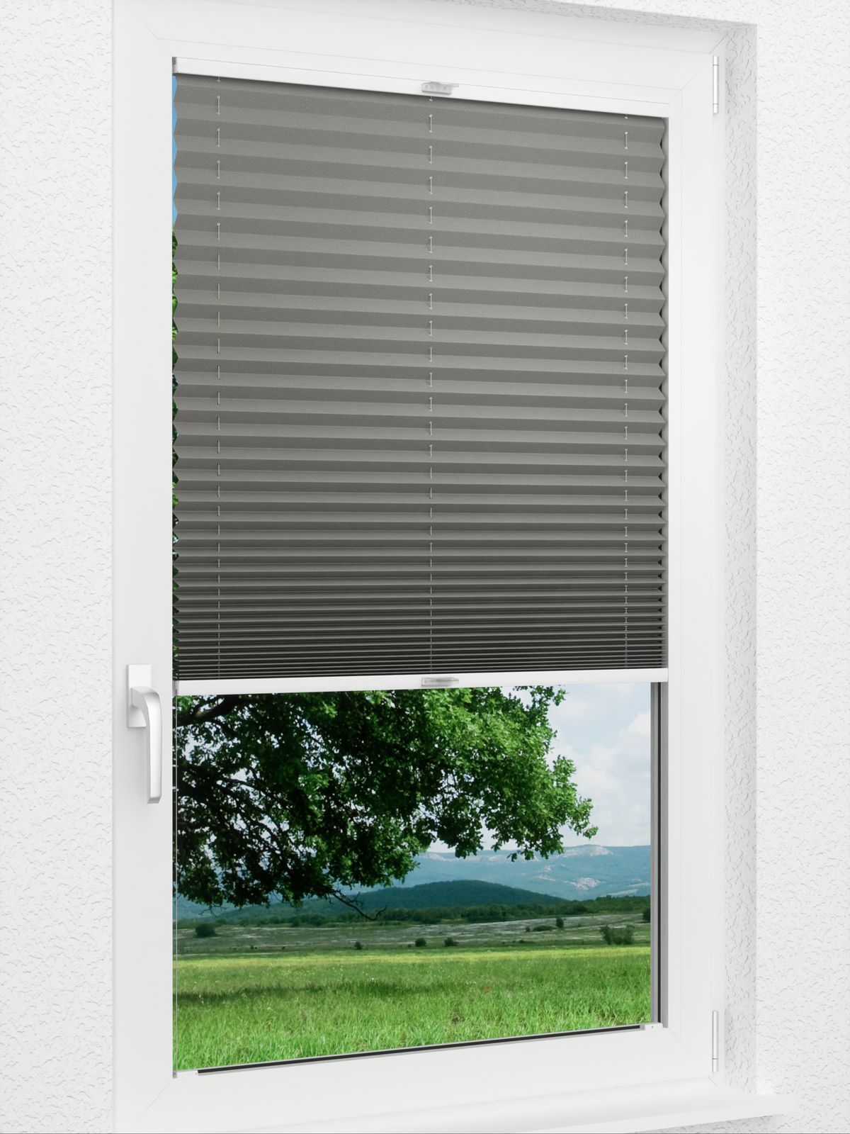 Detailansicht Plissee Kreppa 1309.1264
