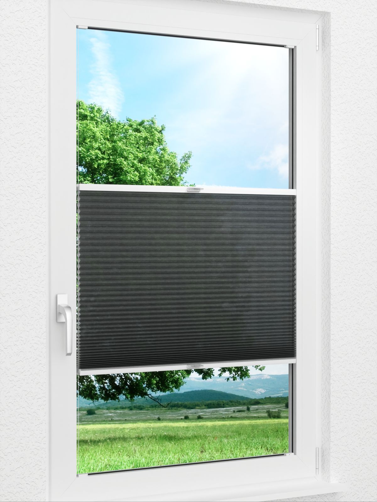 Detailansicht Bumby Comb LI 3508.3583