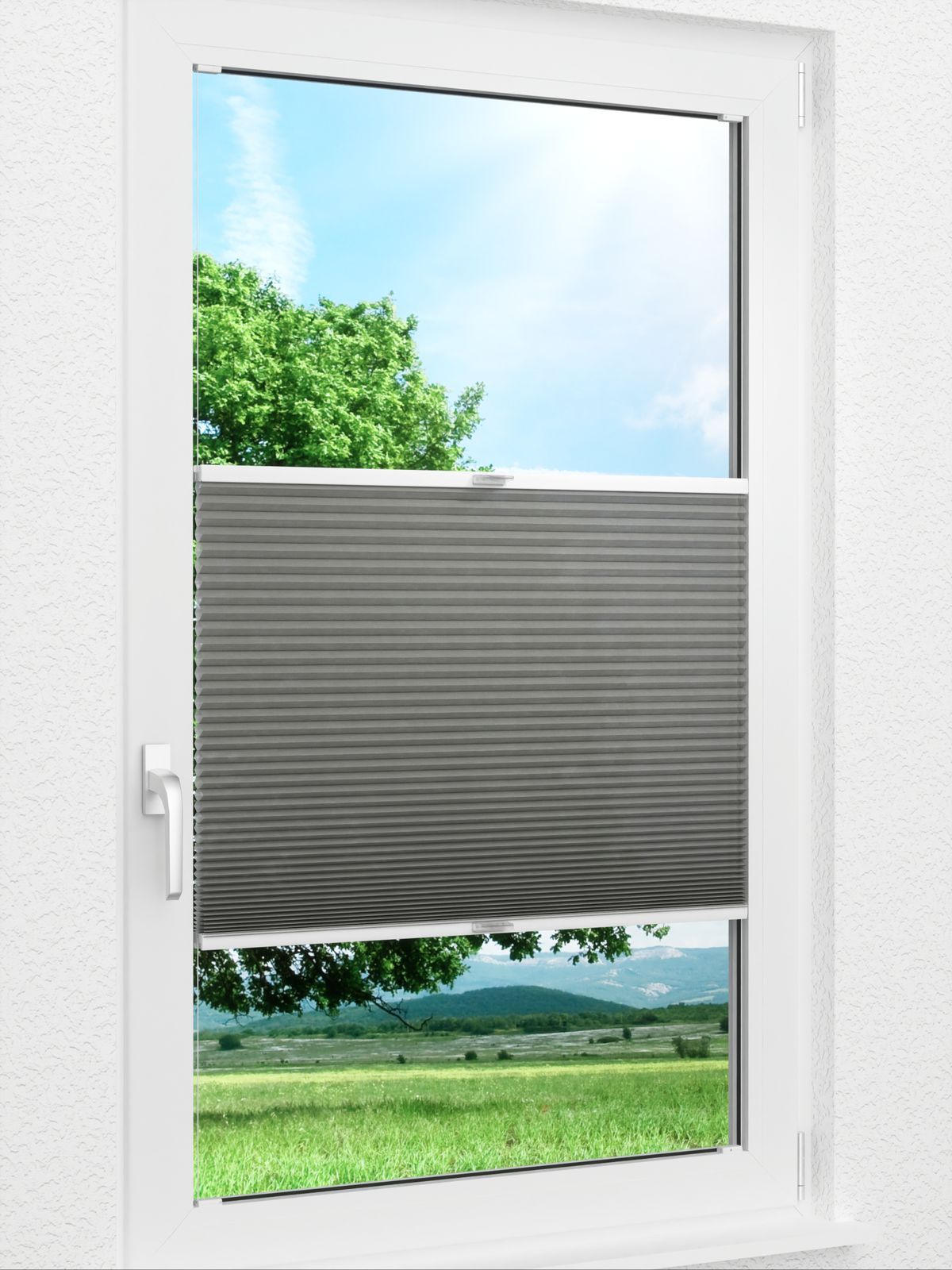 Detailansicht Bumby Comb LI 3609.3584