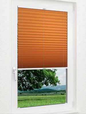 Preview Plissee Krepp B1 22.0201 1