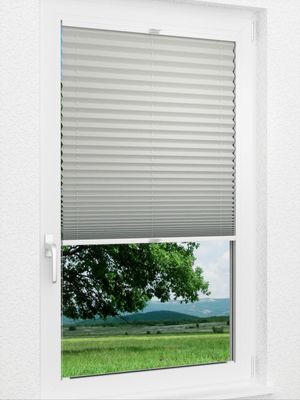 Preview Plissee Krepp B1 1009.0162 1