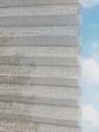 Rough Comb SCL 6201.3576 Detailansicht