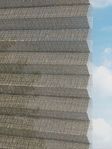 Rough Comb SCL 6402.3578 Detailansicht