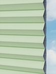 Straight Comb BO 9206.3598 Detailansicht