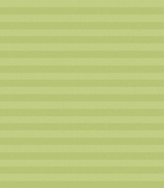 Detailansicht Plissee Kreppa Perlex 1606.1161