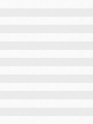 Preview Plissee Krepp B1 1001.1104 4