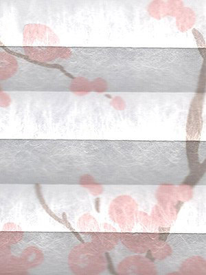 Preview Plissee Virtuoso 6640.3117 5