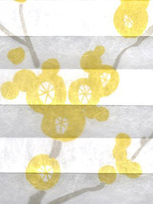 Preview Plissee Virtuoso 6620.3118 5