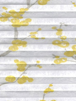 Preview Plissee Virtuoso 6620.3118 4