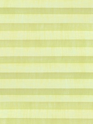 Preview Plissee Risoluto 4450.3121 4