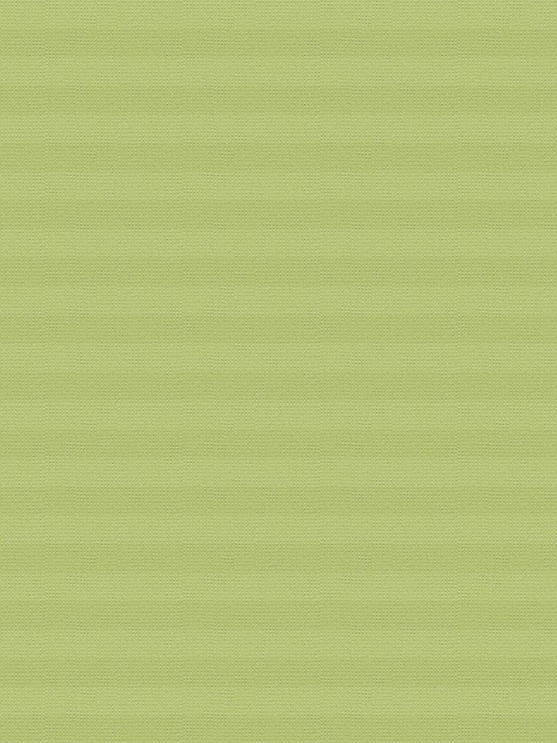 Preview Wabe Shade Comb 8040.5061 4