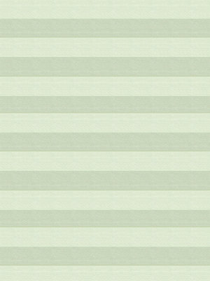 Preview Plissee Green Light 5106.5040 4