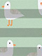 Plissee Gull 3409.6155 Plissee Gull 3409.6155
