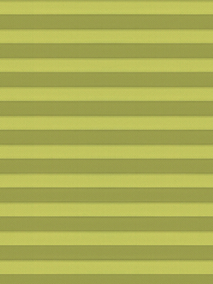 Preview Pinon 59.556 0