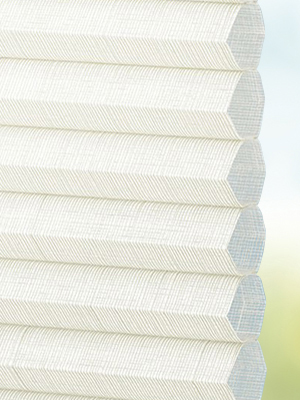 Stoff Plissee Ma&szlig;anfertigung DUETTE® Socorro 02.239