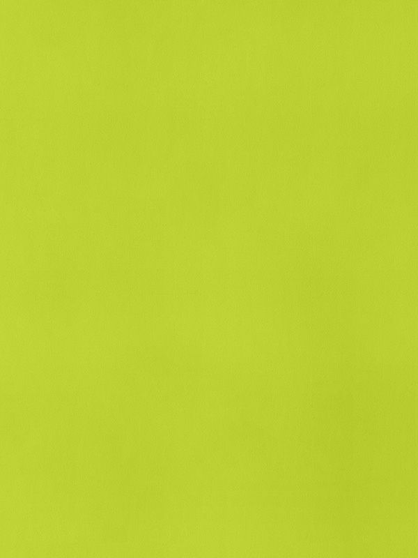 Detailansicht Falkenberg 98.850e