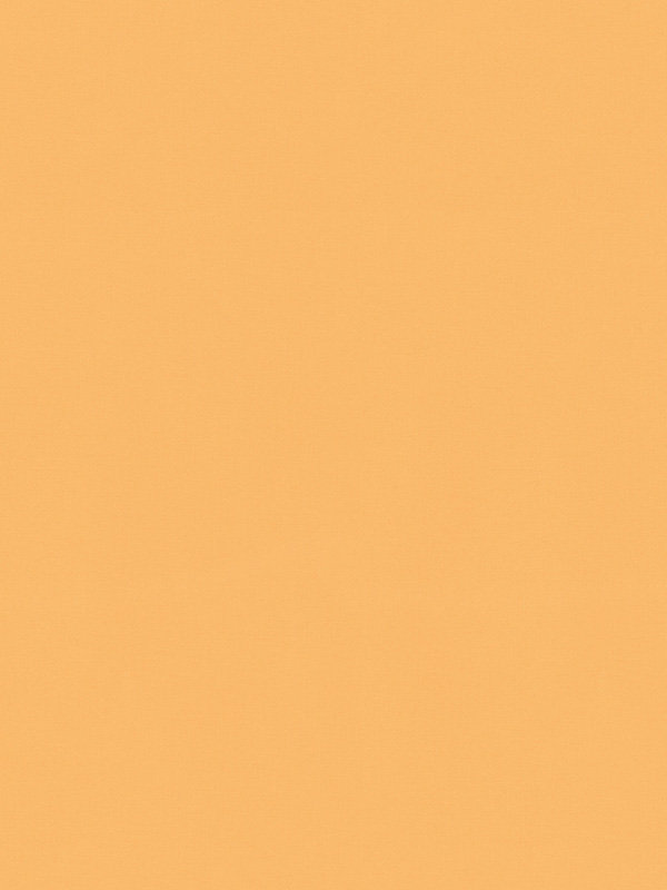 Detailansicht Cuxhaven 72.421e