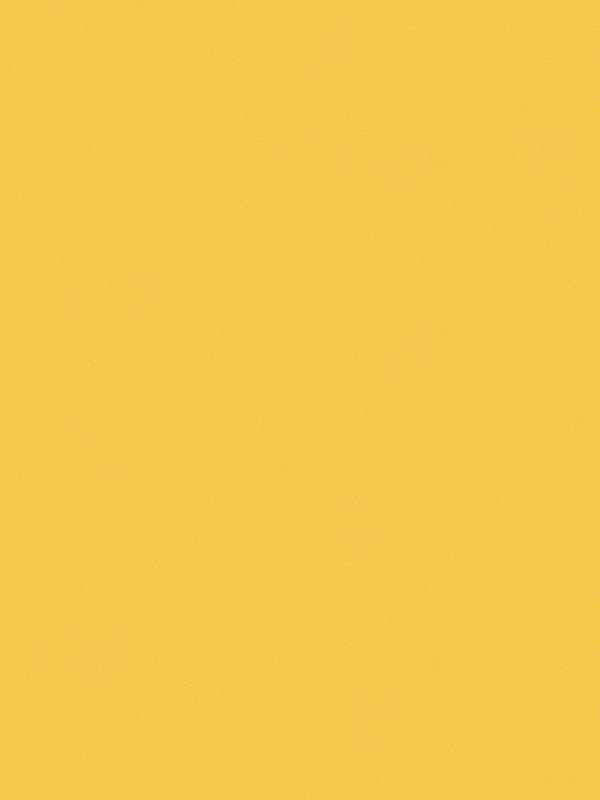 Detailansicht Dahn 42.151e