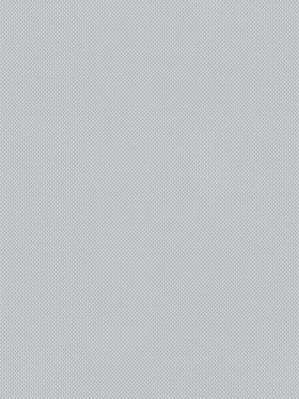 Detailansicht Dassel 00.161e