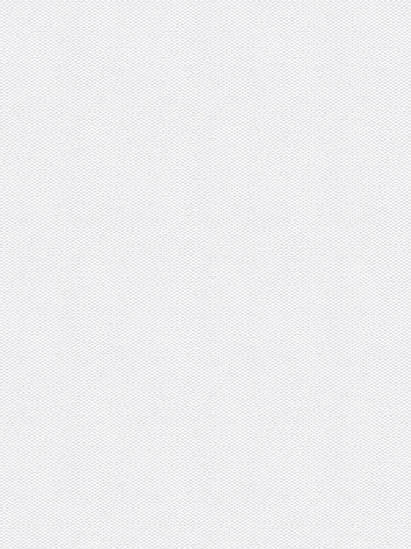 Detailansicht Asterope 102642L