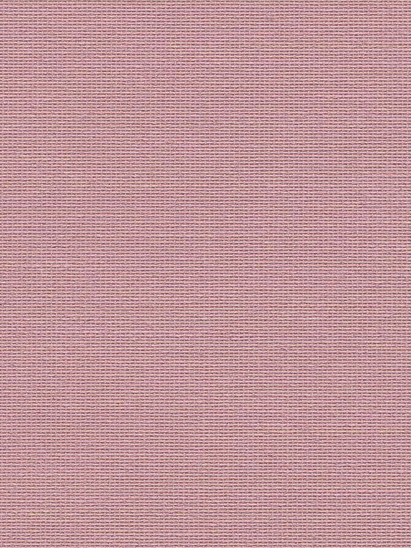 Detailansicht Alnitak 402761L