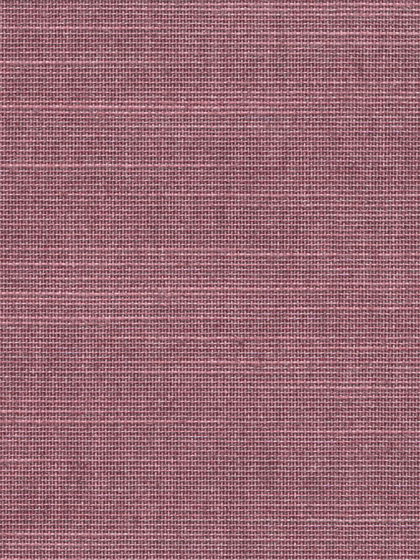 Detailansicht Cervantes 402763L