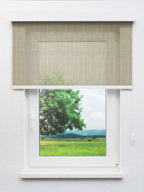 Detailansicht Alfirk 702841L