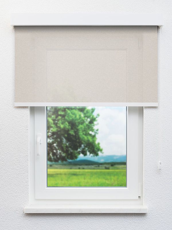 Detailansicht Brück 81.544e