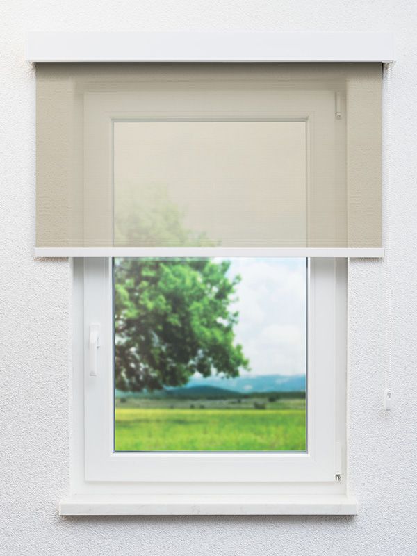 Detailansicht Fulda 21.576e