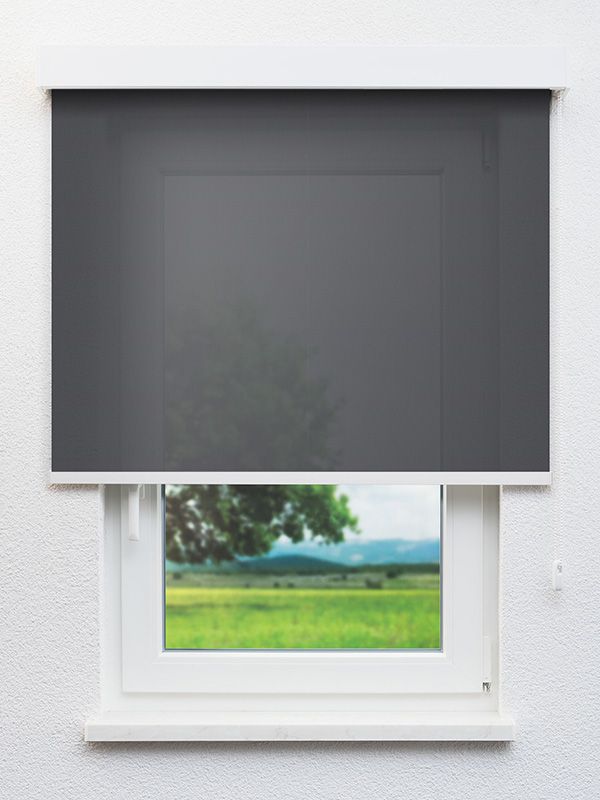 Detailansicht Seelen 30.068e