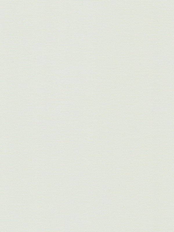 Detailansicht Rollo Naos 5501.2708