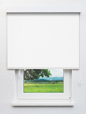 Stoff Rollo Ma&szlig;anfertigung Chertan 102524L