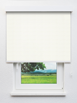 Stoff Rollo Ma&szlig;anfertigung Brachium 202561L