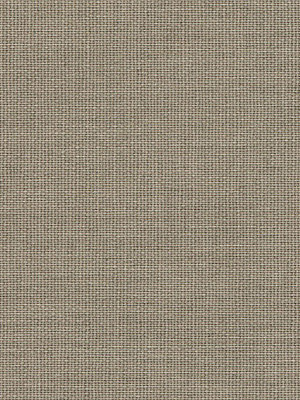 Preview Asellus 702702L 3