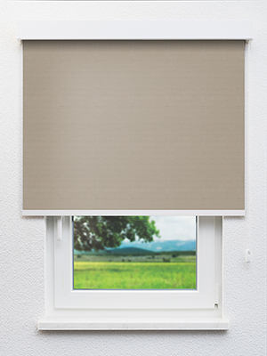 Stoff Rollo Ma&szlig;anfertigung Brachium 702730L