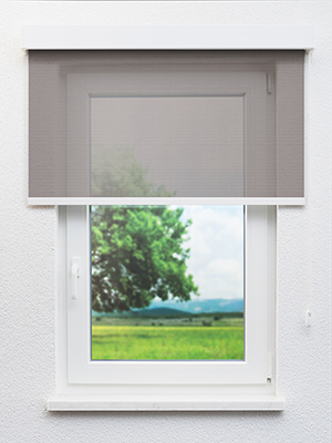 Preview Becrux 702844L 2