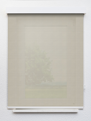 Preview Achird 802855L 1