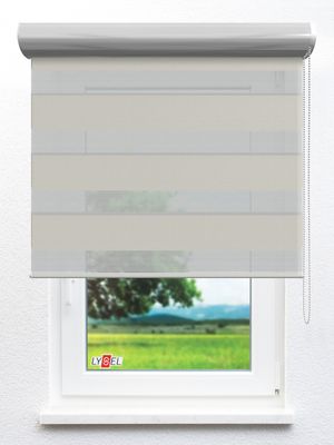 Stoff Rollo Ma&szlig;anfertigung Simply Doppelrollo Zazon 203671L