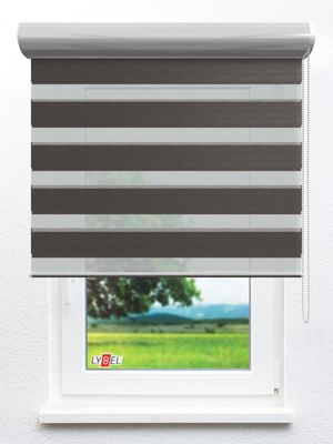 Stoff Rollo Ma&szlig;anfertigung Simply Doppelrollo Zyndi 703698L