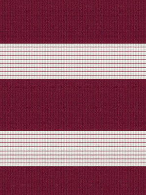 Preview Simply Doppelrollo Ziva 403721L 1